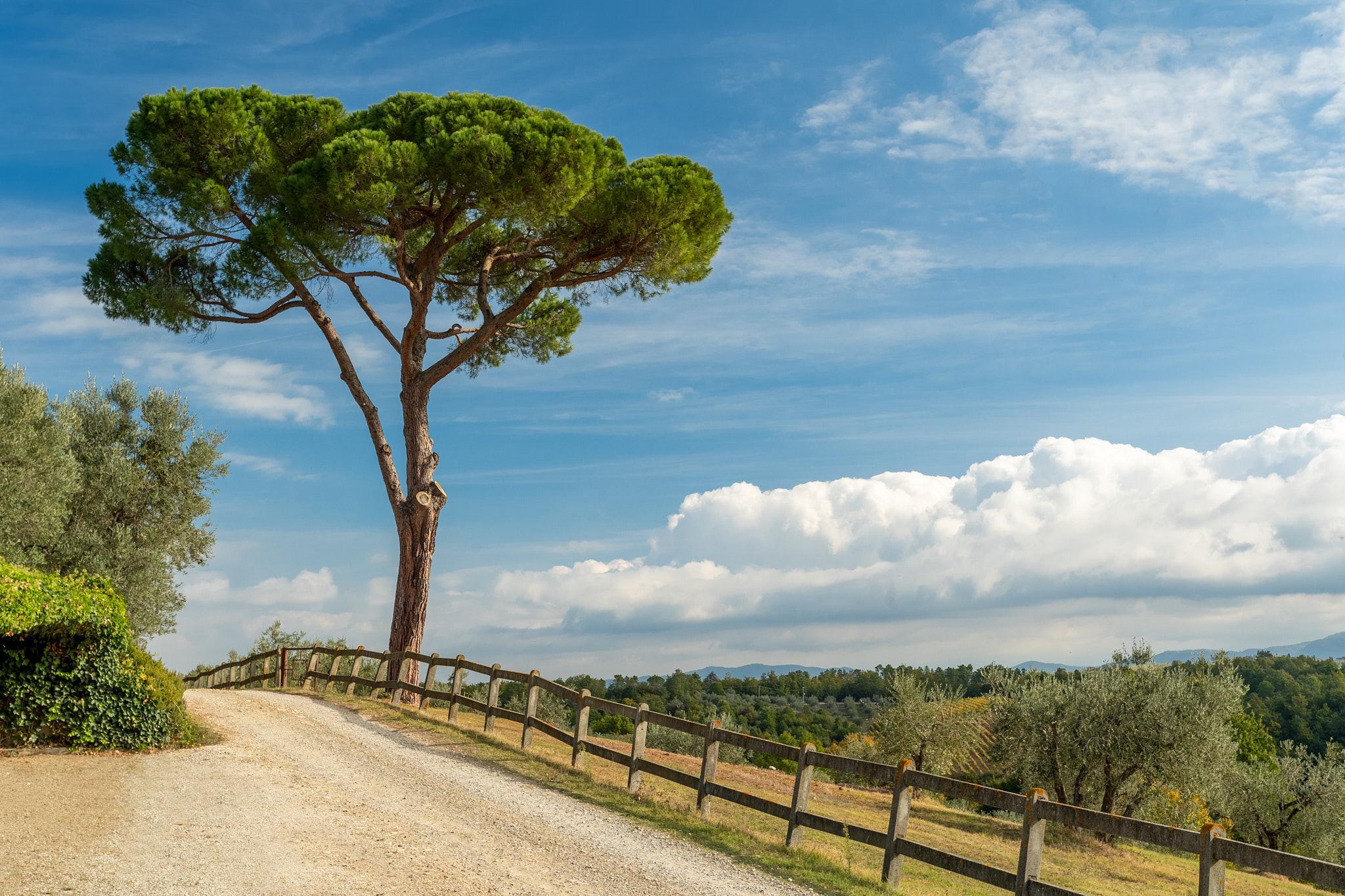 Fattoria La Loggia Villa San Casciano in Val di Pesa Dış mekan fotoğraf